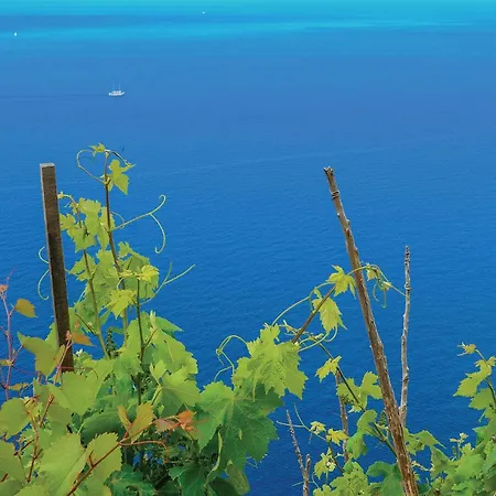 One-bedroom In * Dubrava (Dubrovnik-Neretva)